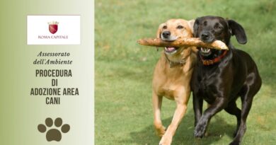 Regolamento per la realizzazione area cani